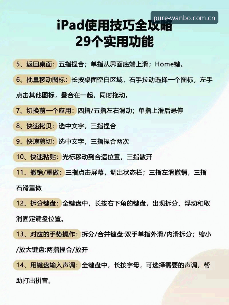 新万博纯净版2026使用教程：从下载到体验的全流程操作指南